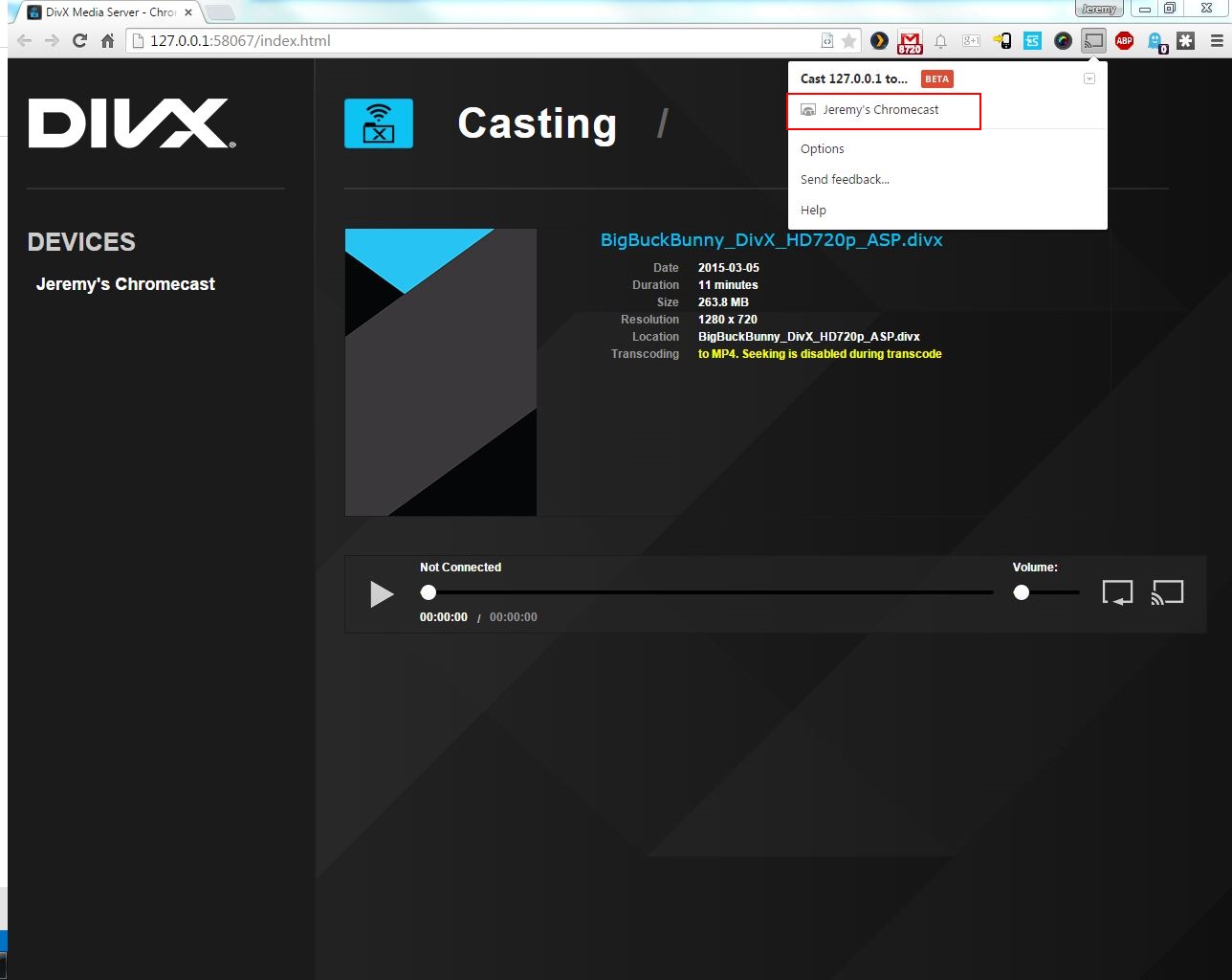 DivXMediaServer-Chrome-browser-EN.jpg