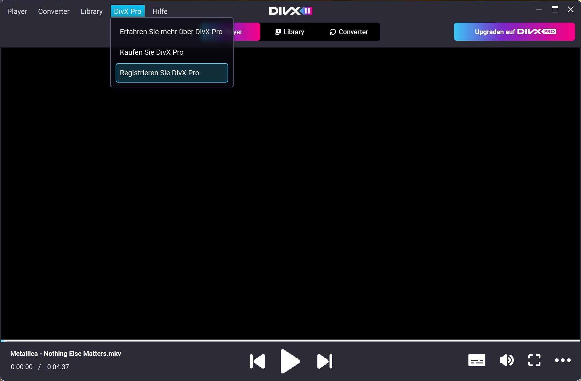 DIvX11_Pro_1_de.jpg