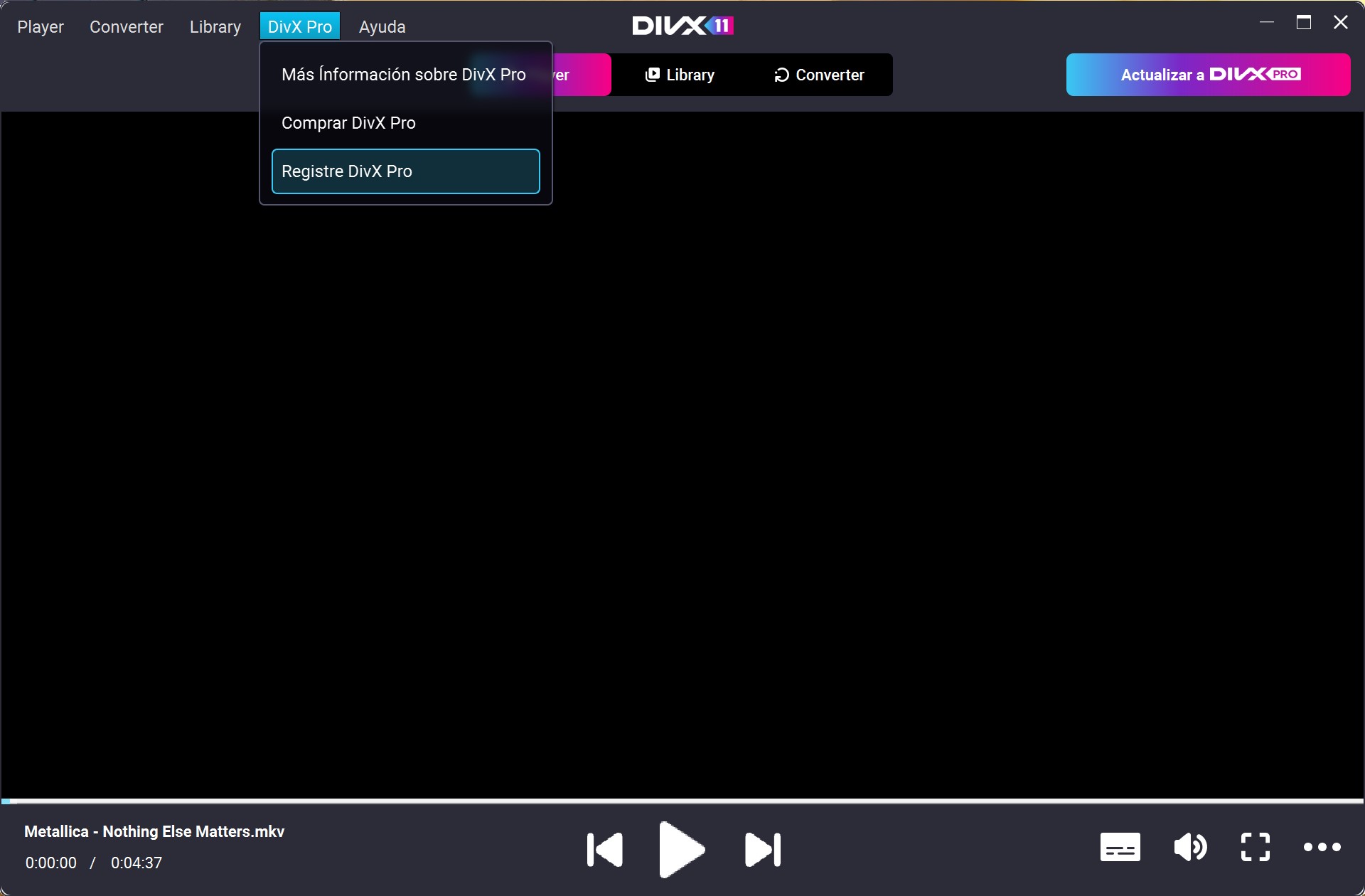 DIvX11_Pro_1_es.jpg