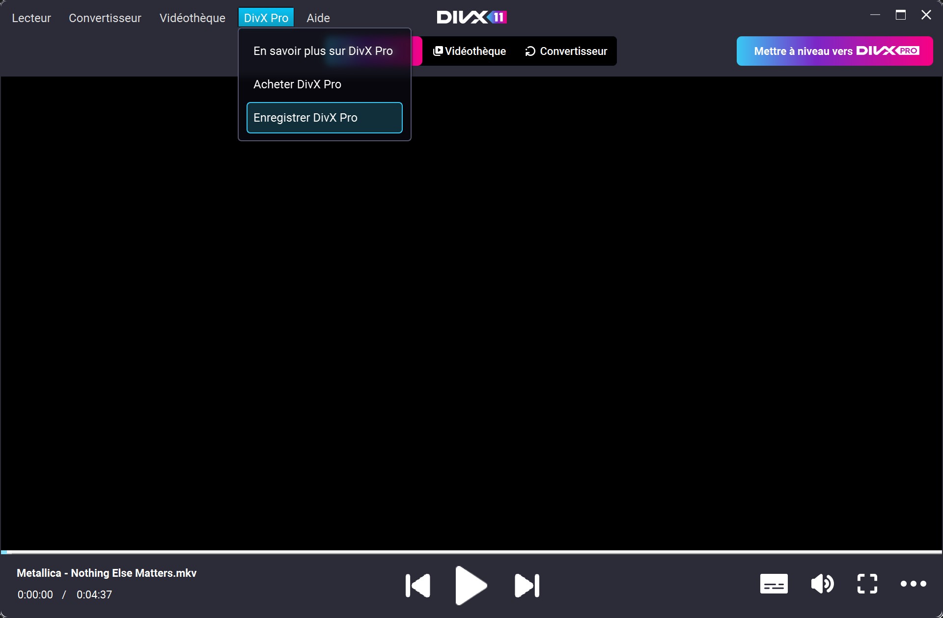 DIvX11_Pro_1_fr.jpg