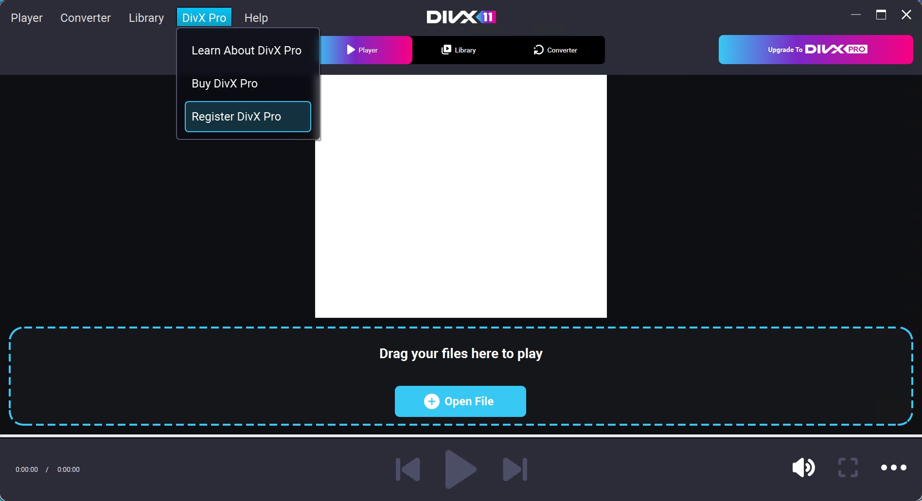 DIvX11_Pro_1_en.jpg