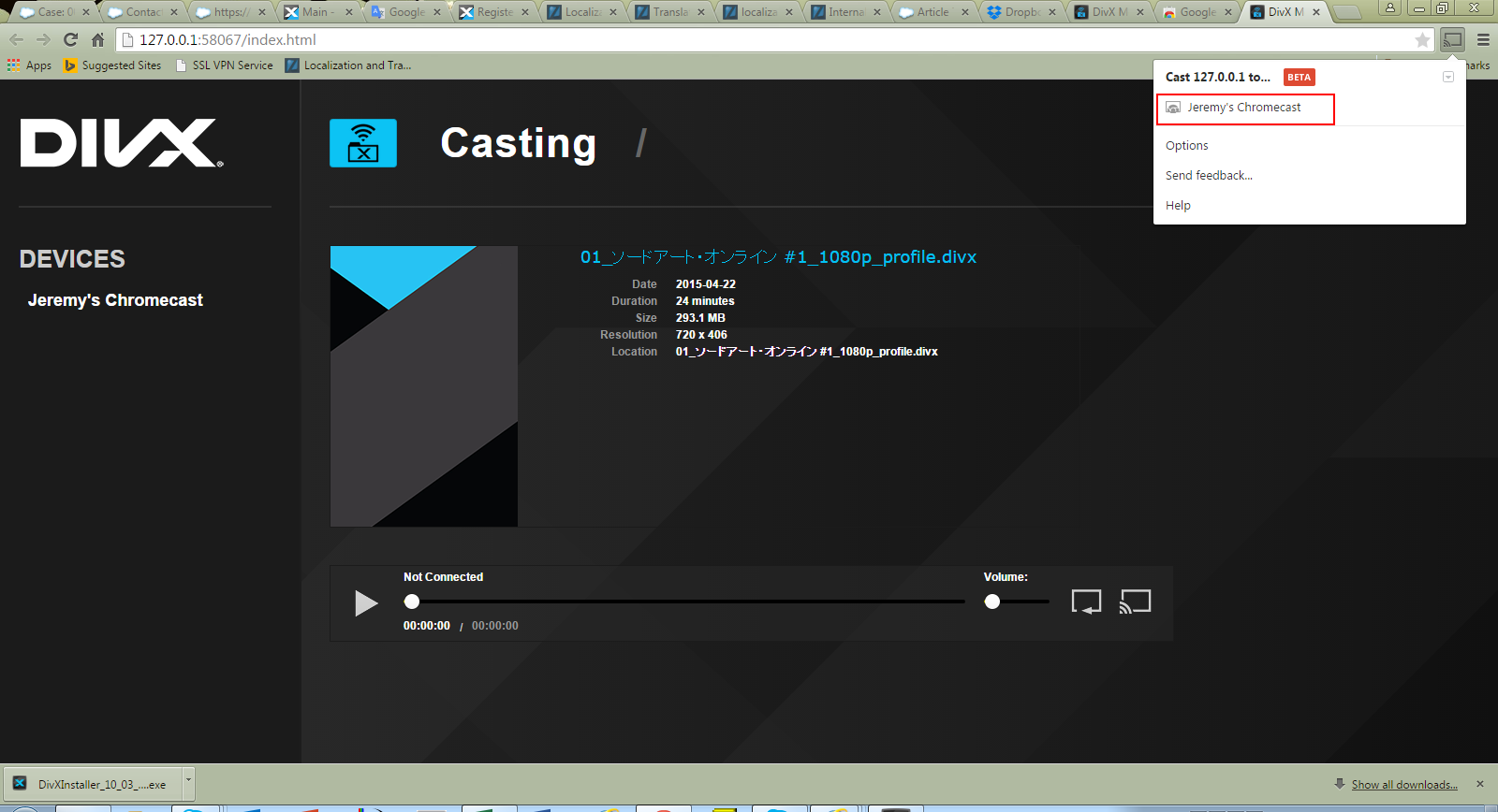 DivXMediaServer-Chrome-browser-JP.png